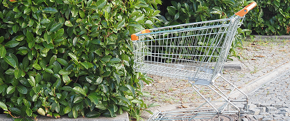 Abandoned Shopping Carts